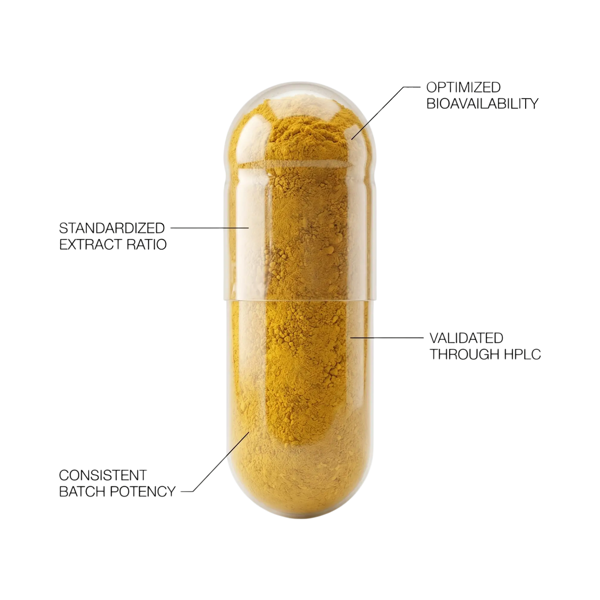 Berberine HCL extract capsule